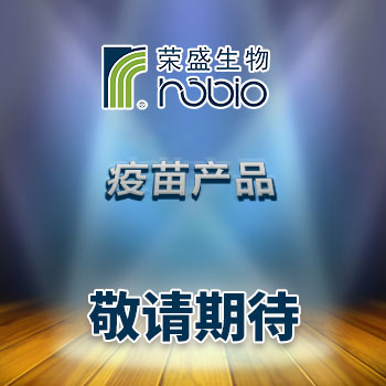 �����Ʒ �����ڴ�